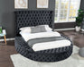 Galaxy Home Hazel Queen Bed in Black image